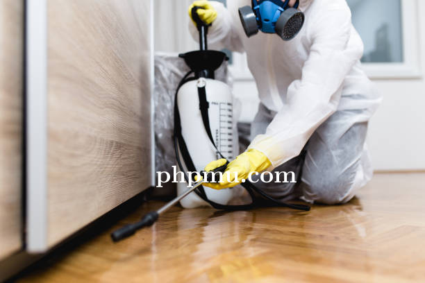 Cara Menjaga Struktur Kayu Rumah Tetap Kuat dan Bebas Rayap